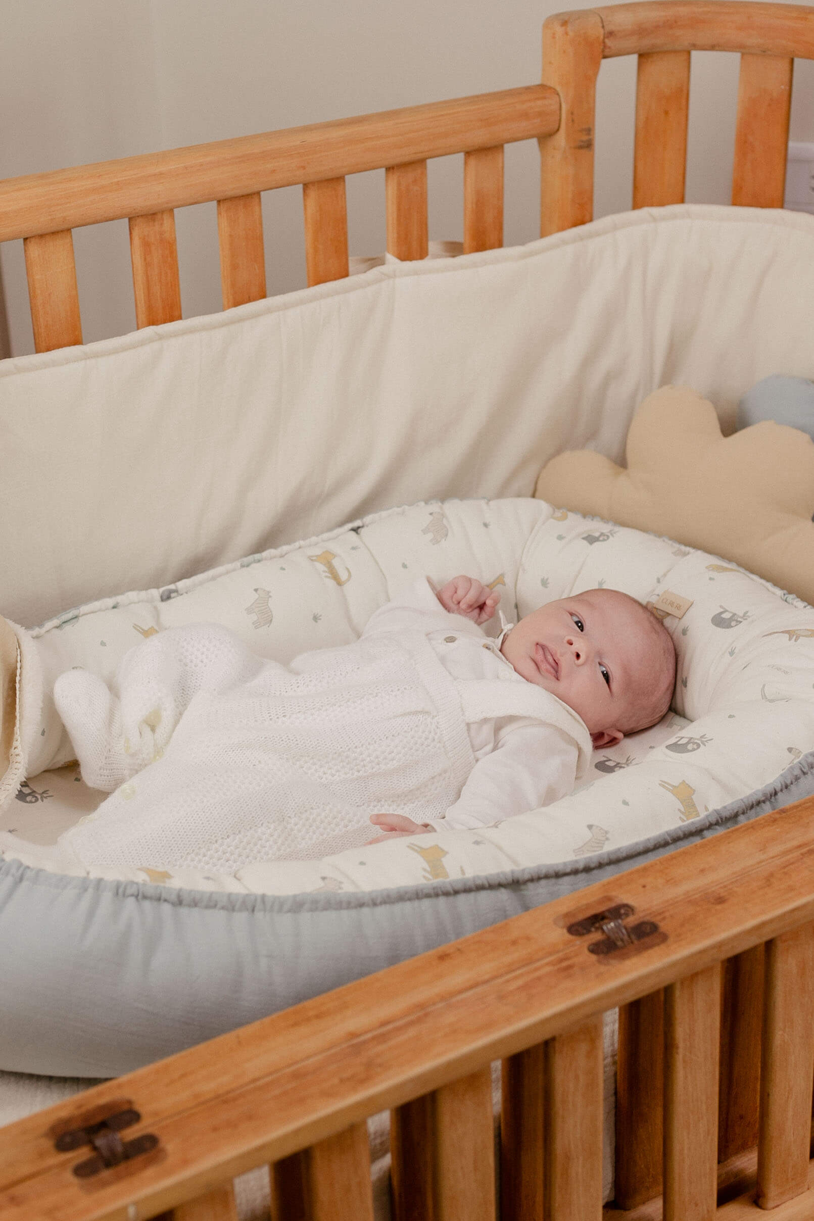 Nidito de Contención - JUNGLA