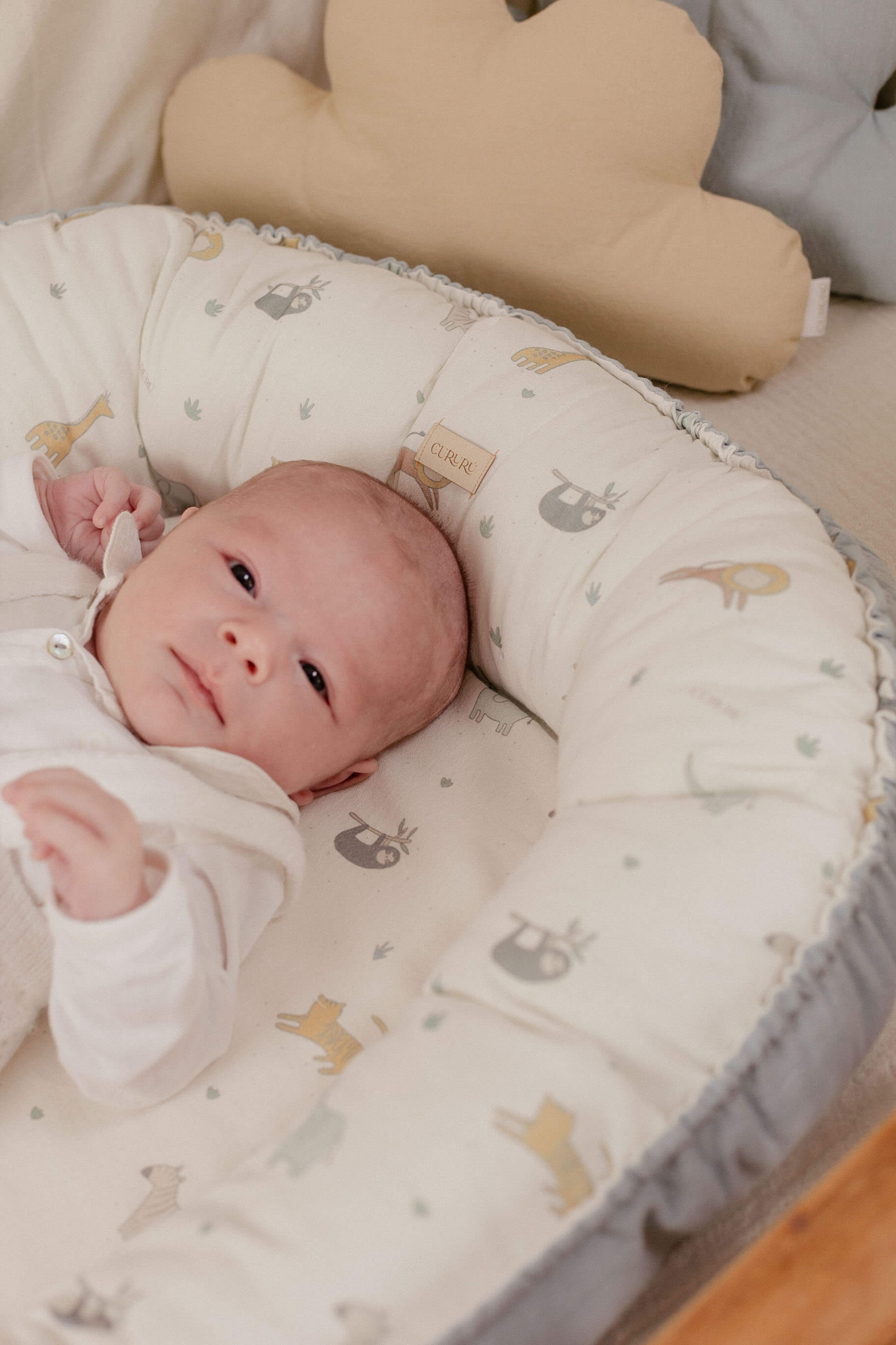 Nidito de Contención - JUNGLA